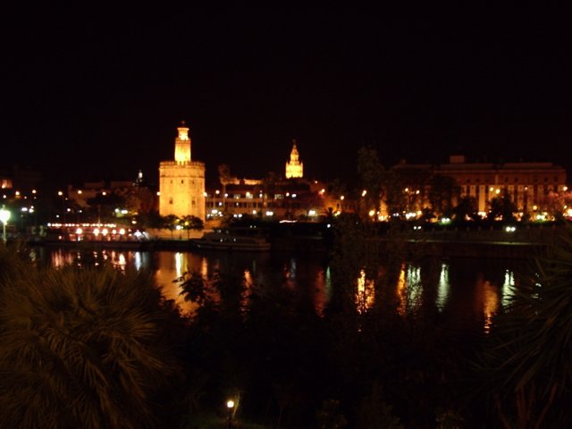 P5190189 Torre del Oro  - Sevilla